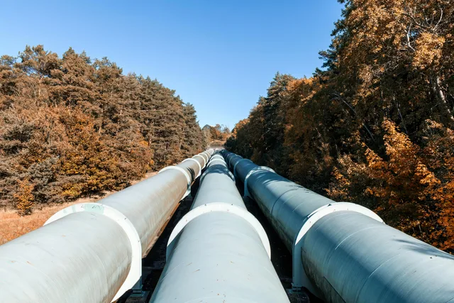 Large pipelines meandering through a colorful autumn forest, showcasing sustainable energy transport. Distinguishing a forecast category from a pipeline stage